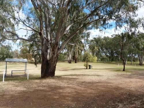 Narrabri Big Sky Caravan Park Екстер'єр фото